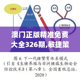 澳门正版精准免费大全326期,敏捷策略探讨现象_IKX3.42