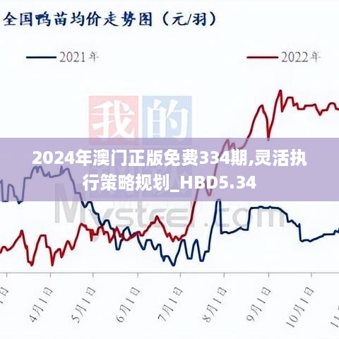 2024年澳门正版免费334期,灵活执行策略规划_HBD5.34