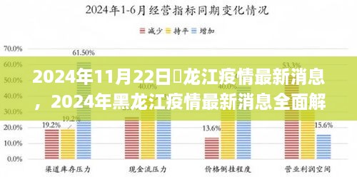 2024年黑龙江疫情最新动态，全面解读与防疫任务指南