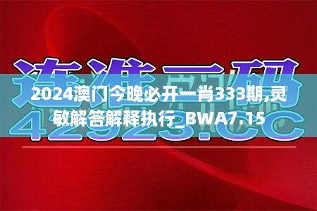 2024年11月22日 第15页