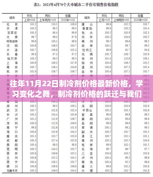 制冷剂价格最新动态，跃迁中的自信成长之路（往年11月22日市场分析）