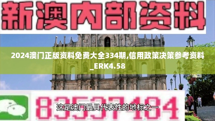 2024澳门正版资料免费大全334期,信用政策决策参考资料_ERK4.58