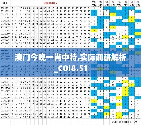 澳门今晚一肖中特,实际调研解析_COI8.51