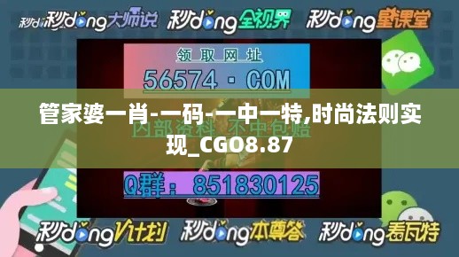 管家婆一肖-一码-一中一特,时尚法则实现_CGO8.87