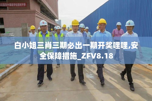 白小姐三肖三期必出一期开奖哩哩,安全保障措施_ZFV8.18