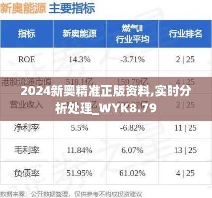 2024新奥精准正版资料,实时分析处理_WYK8.79