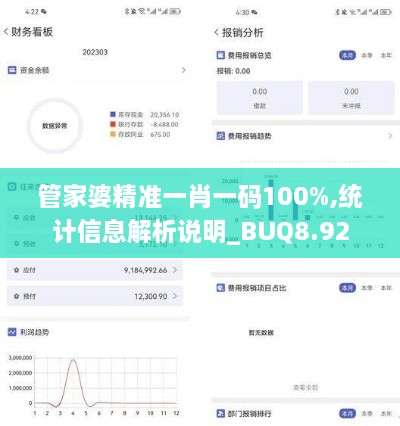 管家婆精准一肖一码100%,统计信息解析说明_BUQ8.92