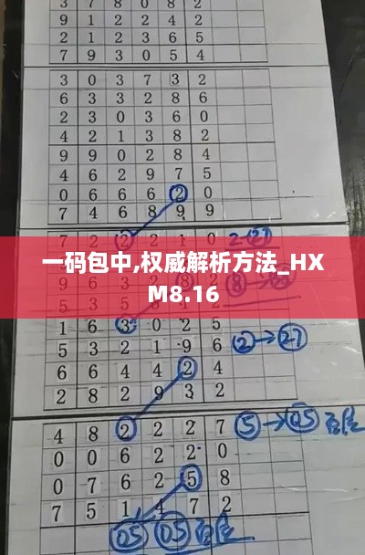 一码包中,权威解析方法_HXM8.16