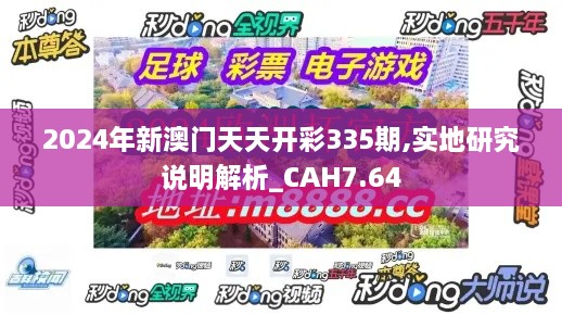 2024年新澳门天天开彩335期,实地研究说明解析_CAH7.64