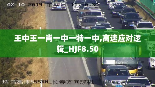 王中王一肖一中一特一中,高速应对逻辑_HJF8.50