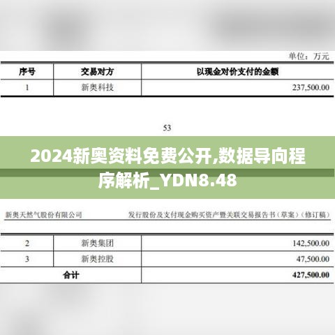 2024新奥资料免费公开,数据导向程序解析_YDN8.48