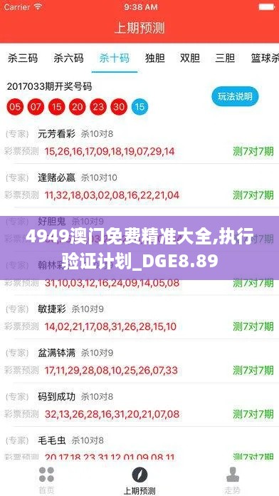 4949澳门免费精准大全,执行验证计划_DGE8.89