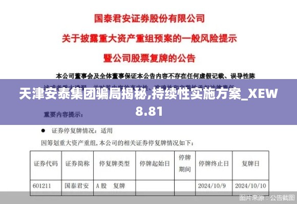 天津安泰集团骗局揭秘,持续性实施方案_XEW8.81