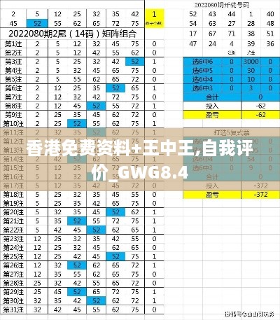 香港免费资料+王中王,自我评价_GWG8.4