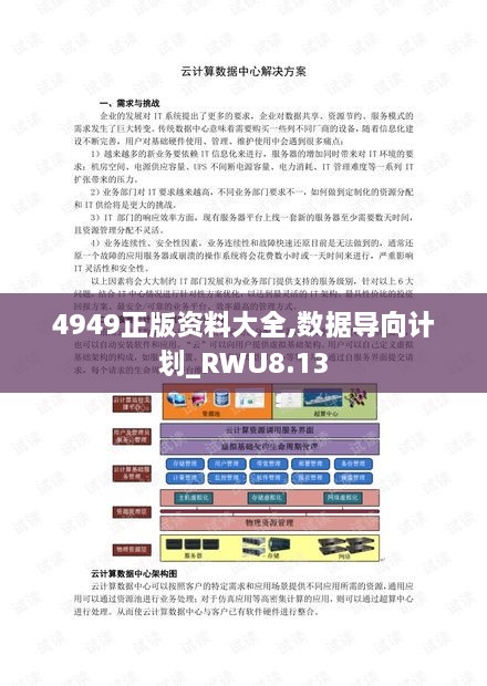 4949正版资料大全,数据导向计划_RWU8.13