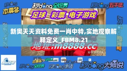 新奥天天资料免费一肖中特,实地观察解释定义_FBM8.21