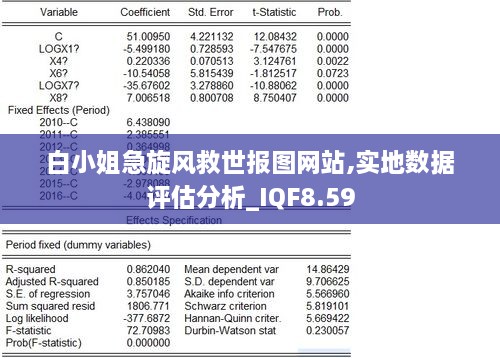 白小姐急旋风救世报图网站,实地数据评估分析_IQF8.59