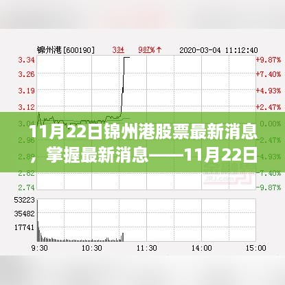 11月22日锦州港股票动态全解析，最新消息掌握