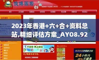 2023年香港+六+合+资料总站,精细评估方案_AYO8.92