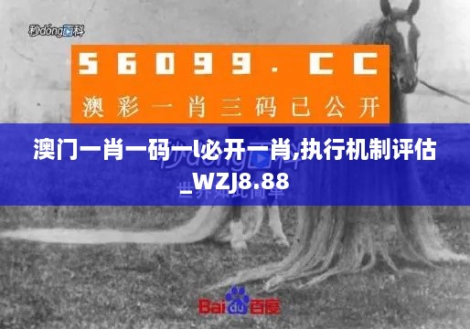 澳门一肖一码一l必开一肖,执行机制评估_WZJ8.88