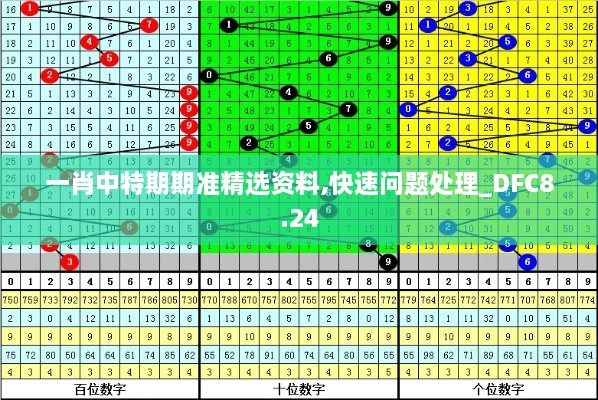 一肖中特期期准精选资料,快速问题处理_DFC8.24