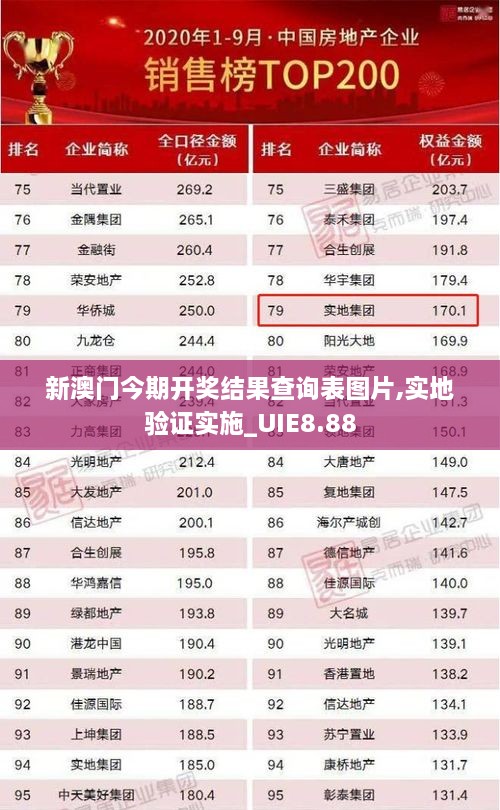 新澳门今期开奖结果查询表图片,实地验证实施_UIE8.88