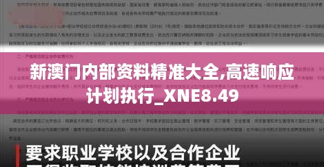 新澳门内部资料精准大全,高速响应计划执行_XNE8.49