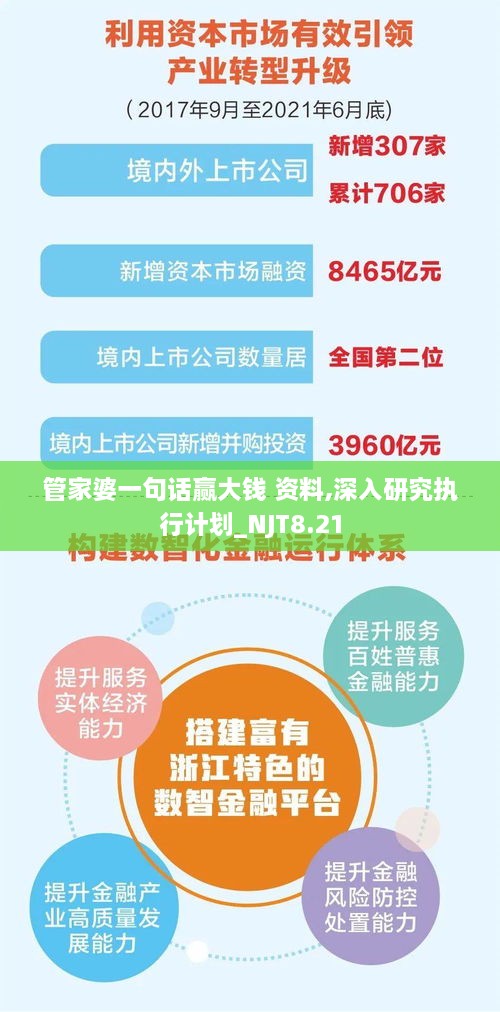 管家婆一句话赢大钱 资料,深入研究执行计划_NJT8.21