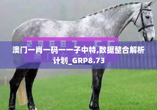 澳门一肖一码一一子中特,数据整合解析计划_GRP8.73