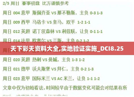 天下彩天资料大全,实地验证实施_DCI8.25