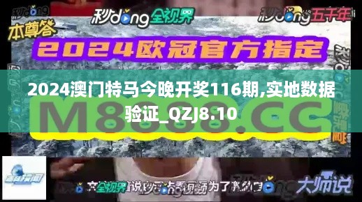 2024澳门特马今晚开奖116期,实地数据验证_QZJ8.10