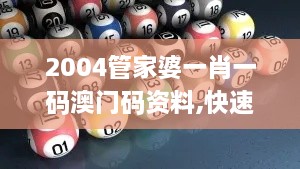 2004管家婆一肖一码澳门码资料,快速解答方案实践_RZP8.47