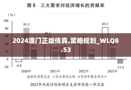 2024澳门正版传真,策略规划_WLQ8.53