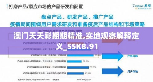 澳门天天彩期期精准,实地观察解释定义_SSK8.91