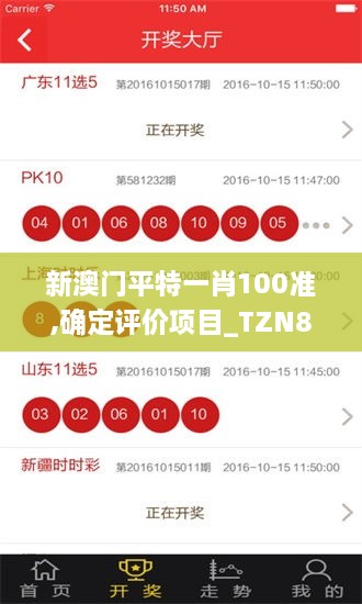 新澳门平特一肖100准,确定评价项目_TZN8.11