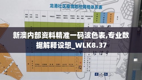 新澳内部资料精准一码波色表,专业数据解释设想_WLK8.37