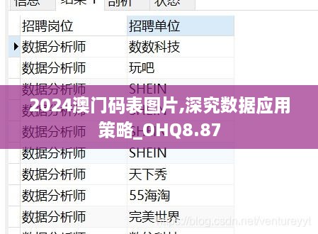 2024澳门码表图片,深究数据应用策略_OHQ8.87