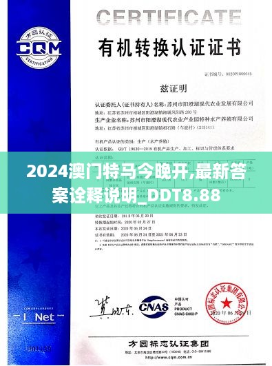 2024澳门特马今晚开,最新答案诠释说明_DDT8.88