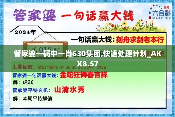 管家婆一码中一肖630集团,快速处理计划_AKX8.57