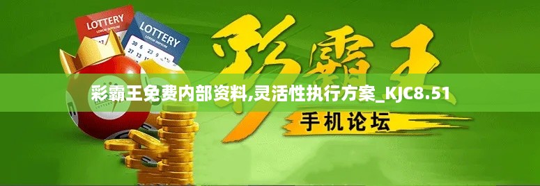 彩霸王免费内部资料,灵活性执行方案_KJC8.51