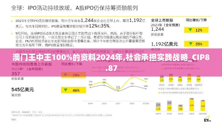 澳门王中王100%的资料2024年,社会承担实践战略_CIP8.87