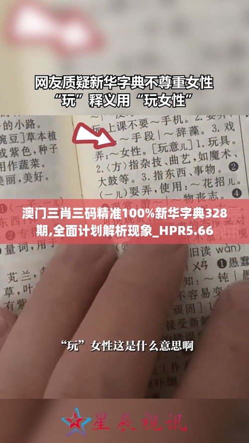 澳门三肖三码精准100%新华字典328期,全面计划解析现象_HPR5.66