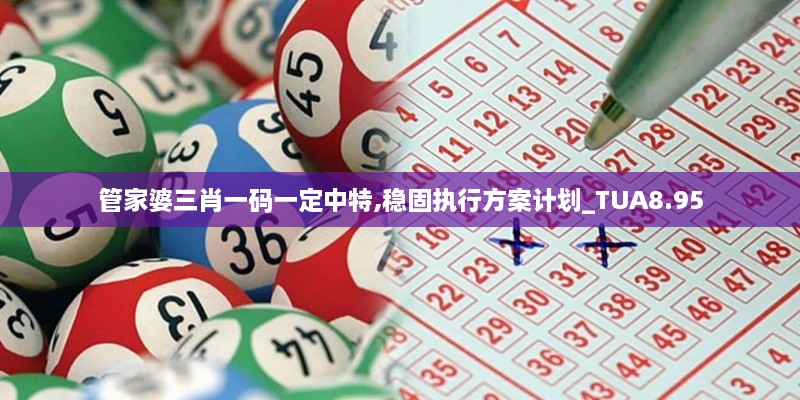 管家婆三肖一码一定中特,稳固执行方案计划_TUA8.95