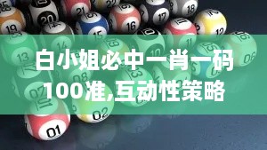 白小姐必中一肖一码100准,互动性策略设计_WTL8.11