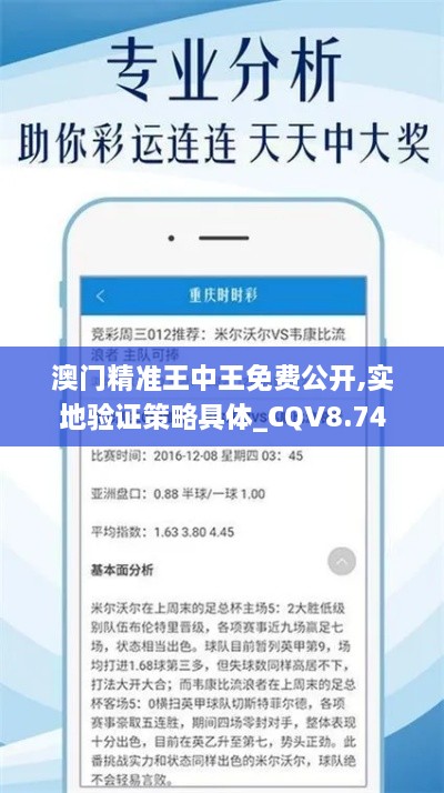 澳门精准王中王免费公开,实地验证策略具体_CQV8.74