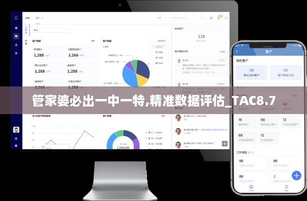 管家婆必出一中一特,精准数据评估_TAC8.7