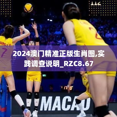 2024澳门精准正版生肖图,实践调查说明_RZC8.67