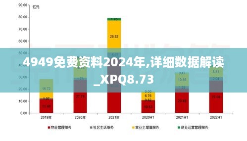 4949免费资料2024年,详细数据解读_XPQ8.73