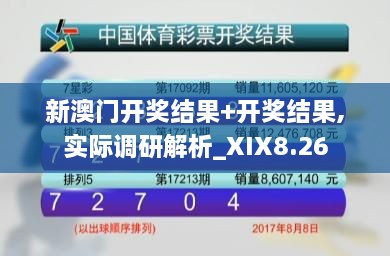 新澳门开奖结果+开奖结果,实际调研解析_XIX8.26