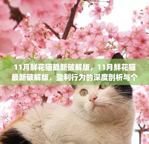 11月鲜花猫最新破解版，深度剖析盈利行为与个人立场观点